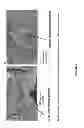 Fig. 05 - Casting mold composition with improved detectability for inclusions and method of casting