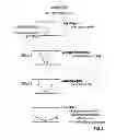 Fig. 03 - METHOD AND SYSTEM OF OPTIMIZED STEAM-ASSISTED GRAVITY DRAINAGE WITH OXYGEN (