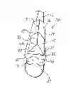 Fig. 01 - Multipiece cutting edge attachment for spring tines of a harrow