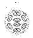 Fig. 04 - Foamed coaxial cable and multicore cable