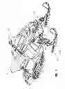 Fig. 03 - Snowmobile