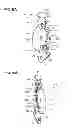 Fig. 06 - Switch