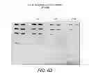 Fig. 08 - Detection of immobilized nucleic acid