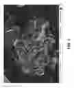 Fig. 04 - METHOD AND ELECTROCHEMICAL DEVICE FOR LOW ENVIRONMENTAL IMPACT LITHIUM RECOVERY FROM AQUEOUS SOLUTIONS