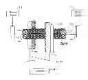 Fig. 01 - Electropolishing device and method