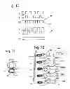 Fig. 06 - THERMOELECTRIC DEVICE WITH MAKE-BEFORE-BREAK HIGH FREQUENCY CONVERTER