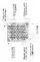 Fig. 44 - CONTACT STRUCTURE FOR A TUNABLE LIQUID CRYSTAL OPTICAL DEVICE