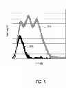 Fig. 06 - Pulse width controller