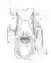 Fig. 03 - Saddle riding type vehicle