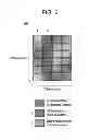 Fig. 07 - Method for preventing an unauthorized use of disposable bioprocess components