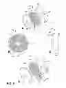 Fig. 06 - Solid state fragrancing