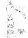 Fig. 03 - Shower heads