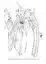 Fig. 04 - Cordset assembly