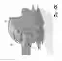 Fig. 09 - Self transportable aerostat system