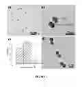Fig. 04 - Generic approach for synthesizing asymmetric nanoparticles and nanoassemblies
