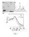 Fig. 06 - Generic approach for synthesizing asymmetric nanoparticles and nanoassemblies