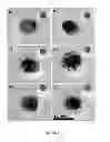 Fig. 07 - Generic approach for synthesizing asymmetric nanoparticles and nanoassemblies