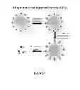 Fig. 08 - Generic approach for synthesizing asymmetric nanoparticles and nanoassemblies