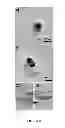 Fig. 09 - Generic approach for synthesizing asymmetric nanoparticles and nanoassemblies