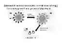 Fig. 22 - Generic approach for synthesizing asymmetric nanoparticles and nanoassemblies