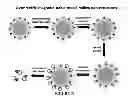 Fig. 32 - Generic approach for synthesizing asymmetric nanoparticles and nanoassemblies