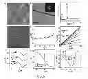 Fig. 06 - HIGH PERFORMANCE GRAPHENE TRANSISTORS AND FABRICATION PROCESSES THEREOF