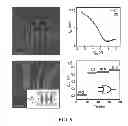 Fig. 07 - HIGH PERFORMANCE GRAPHENE TRANSISTORS AND FABRICATION PROCESSES THEREOF