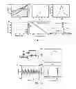 Fig. 16 - HIGH PERFORMANCE GRAPHENE TRANSISTORS AND FABRICATION PROCESSES THEREOF