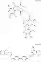 Fig. 22 - Condensed-cyclic compound and organic light-emitting diode including the condensed-cyclic compound