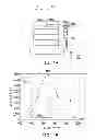 Fig. 02 - ORGANIC LIGHT EMITTING DIODE