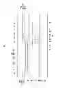 Fig. 07 - Organic light emitting diode display panel and portable display including the same