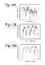 Fig. 08 - Semiconductor light emitting apparatus