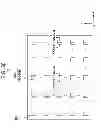 Fig. 35 - Solid-state imaging device, method of manufacturing solid-state imaging device, and electronic equipment