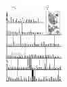 Fig. 04 - Geographic origin of a music game