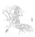 Fig. 02 - Balance bike