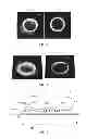 Fig. 02 - Article with a dynamic frame formed with aligned pigment flakes