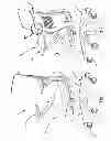 Fig. 02 - Chair Assembly