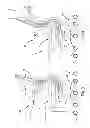 Fig. 03 - Chair assembly