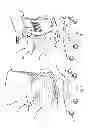 Fig. 02 - Chair assembly