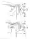 Fig. 03 - Control assembly for chair