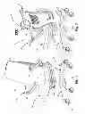 Fig. 02 - Chair back mechanism and control assembly