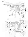 Fig. 03 - Chair back mechanism and control assembly