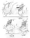 Fig. 23 - Chair back mechanism and control assembly