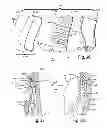 Fig. 26 - Chair back mechanism and control assembly