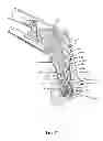 Fig. 57 - Chair back mechanism and control assembly