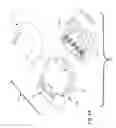 Fig. 12 - Chair assembly