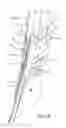 Fig. 19 - Chair assembly