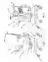 Fig. 02 - Control assembly for chair