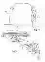 Fig. 46 - Chair arm assembly