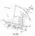 Fig. 20 - Chair arm assembly